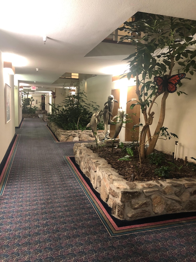 Monarch Resort 17/41