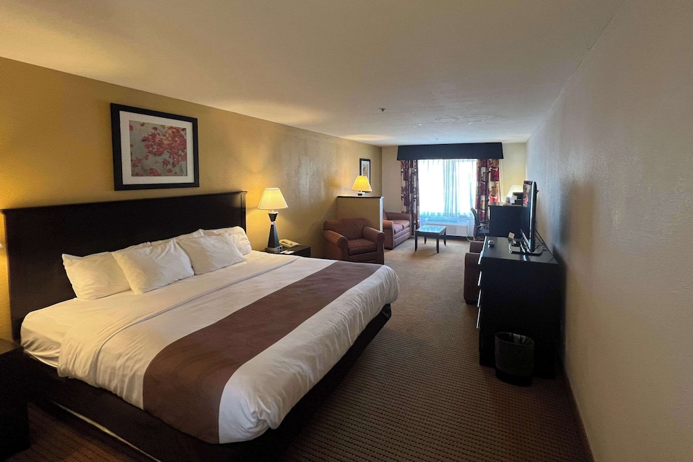 Suite, King Bed