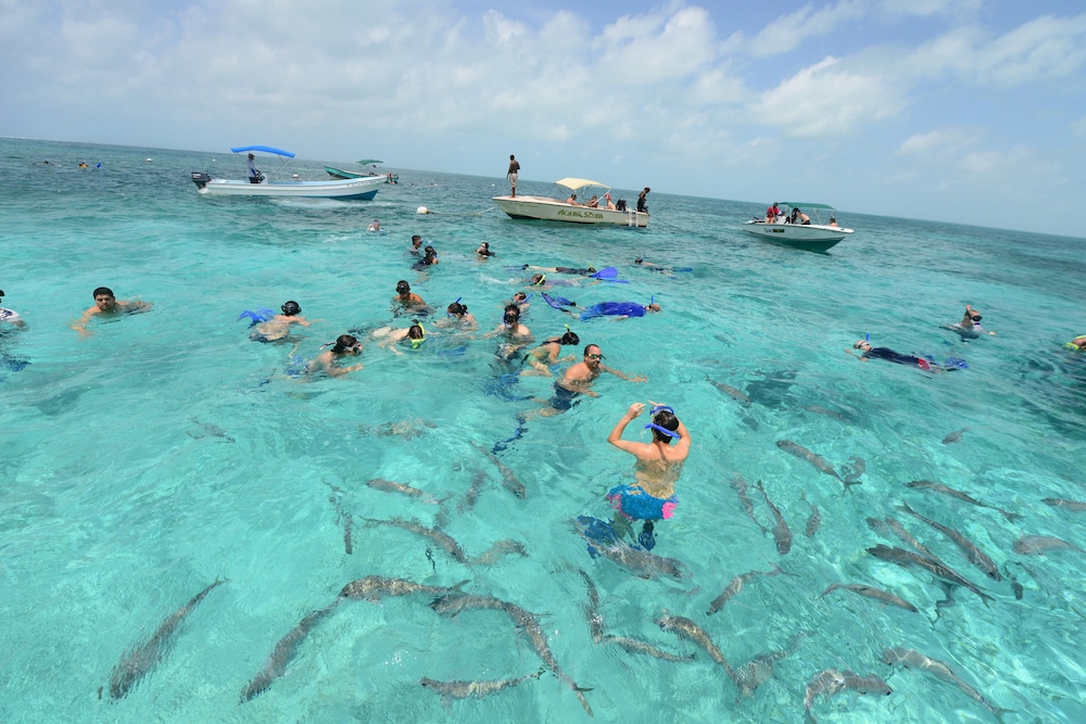 Belize Dive Haven 35/50