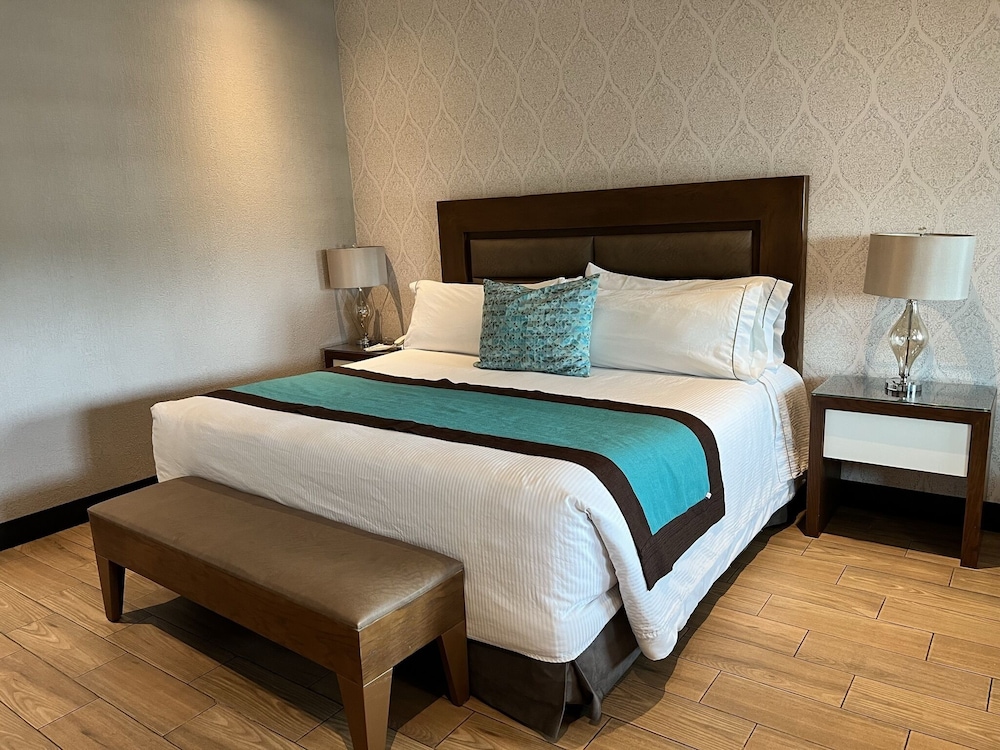 Aurea Hotel And Suites 18/50