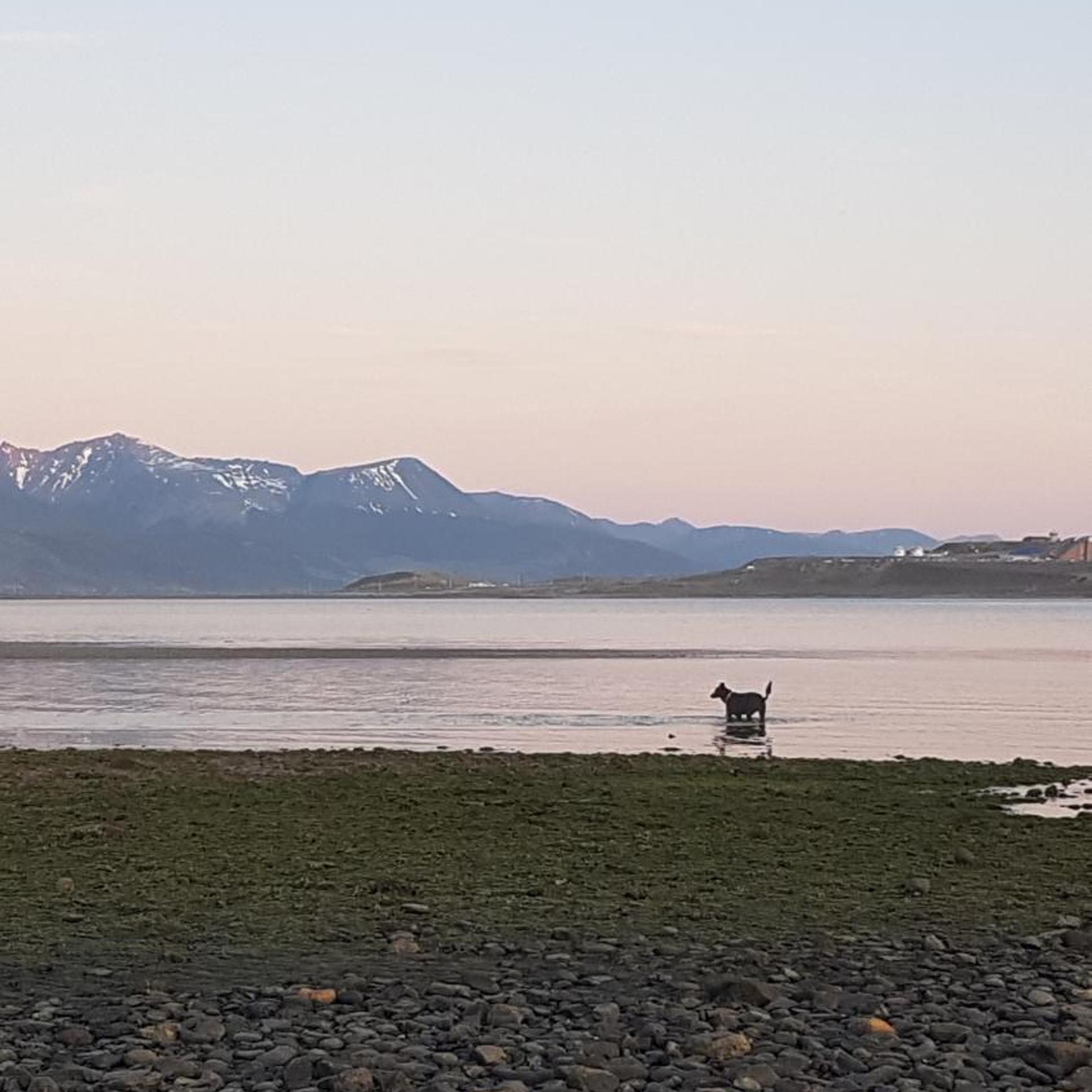 Hotel Tierra del Fuego 45/50