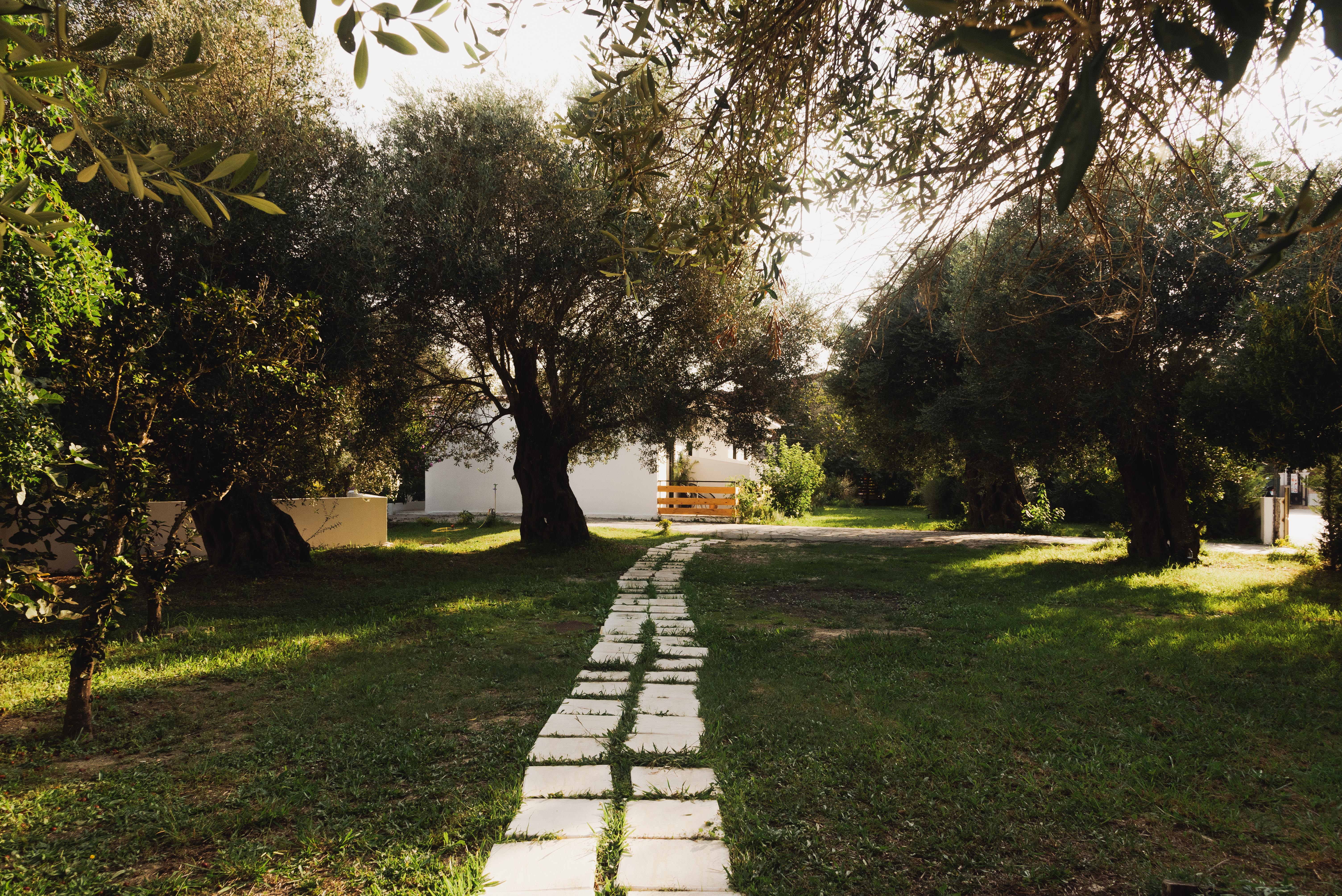 Olive Grove Suites Boutique Hotel 41/50