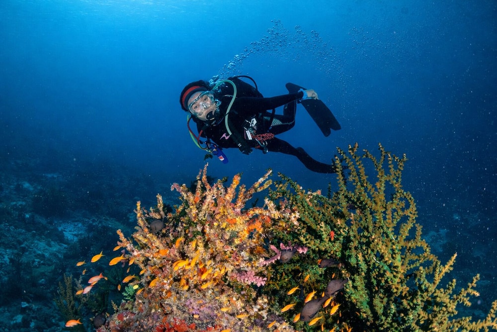 The Pade Dive Resort Ex the Pade Resort Sabang 10/17