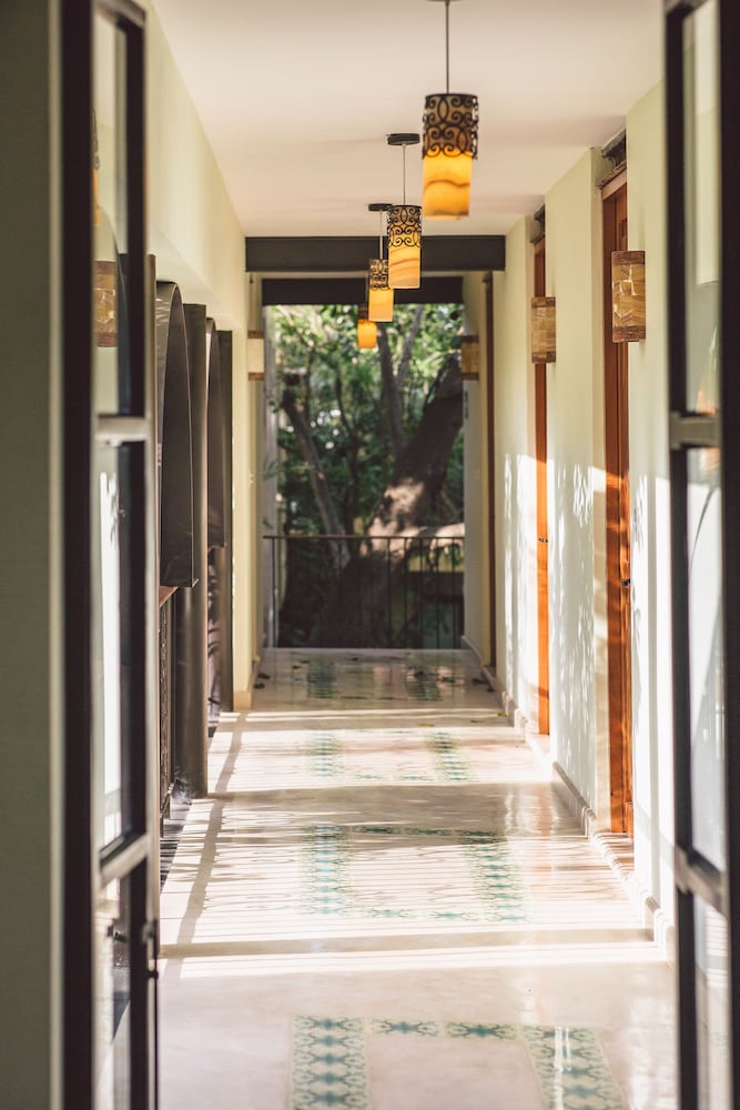 TreeHouse Boutique Hotel 2/50