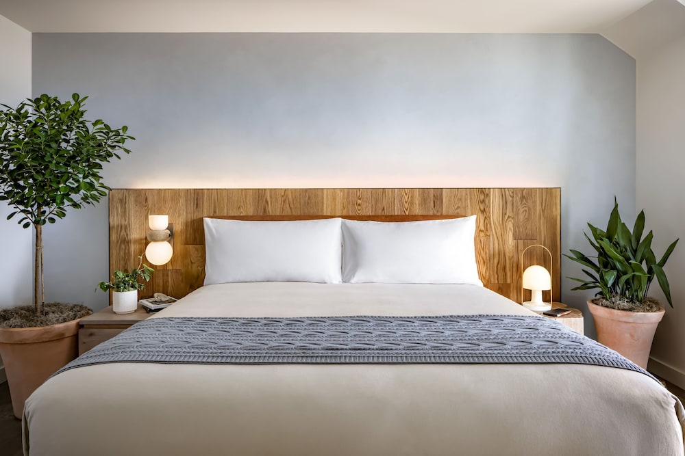 STUDIO, SUITE, KING BED, BATHTUB