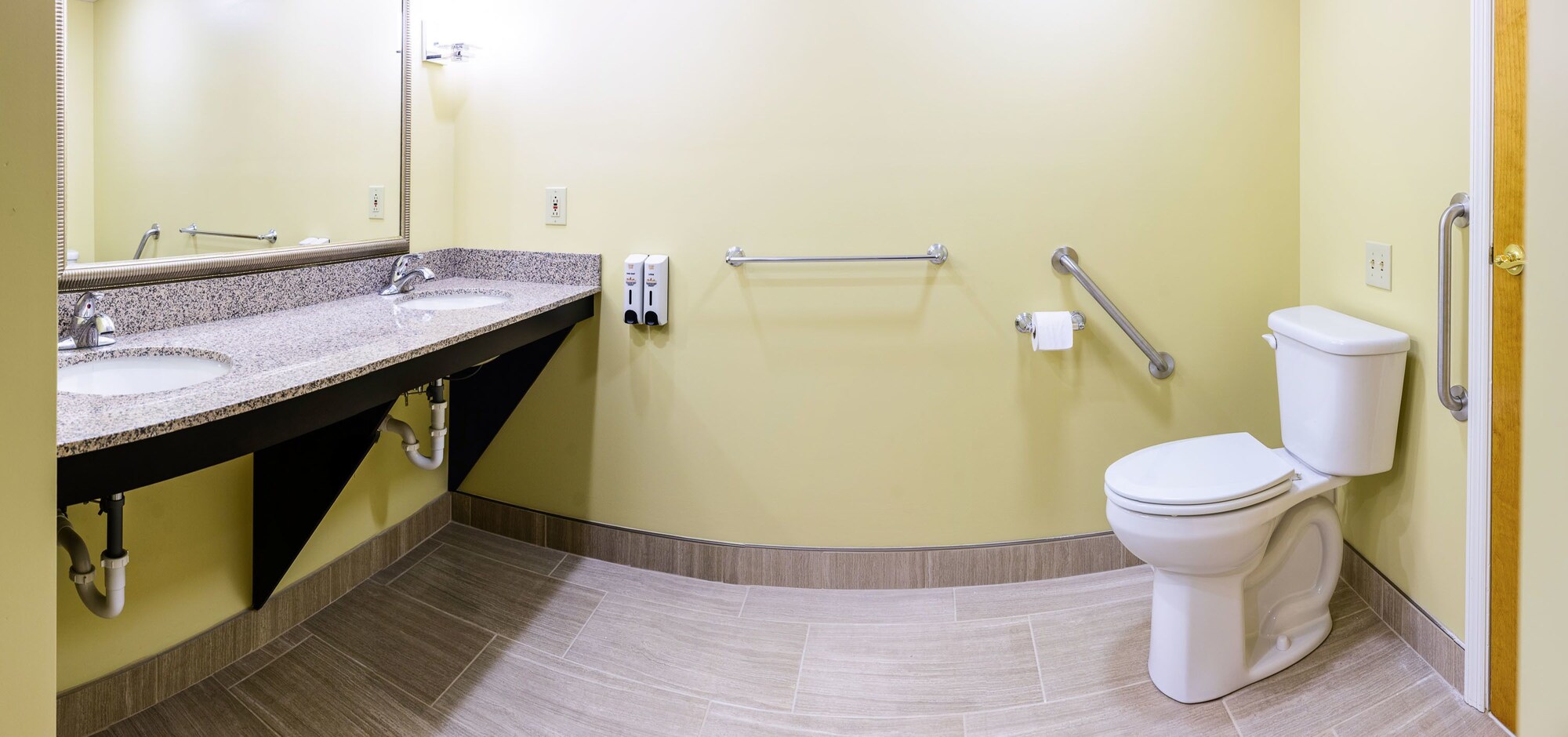 Executive, Suite, King Bed, Sofa, Accessible