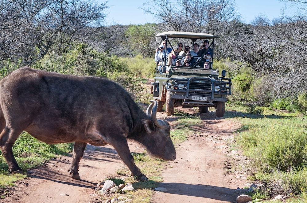 Buffelsdrift Game Lodge 47/73