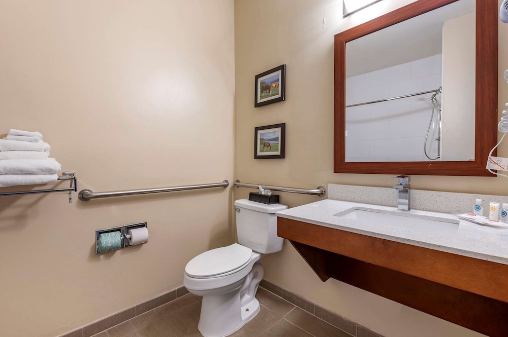 Comfort Suites Keeneland 13/48