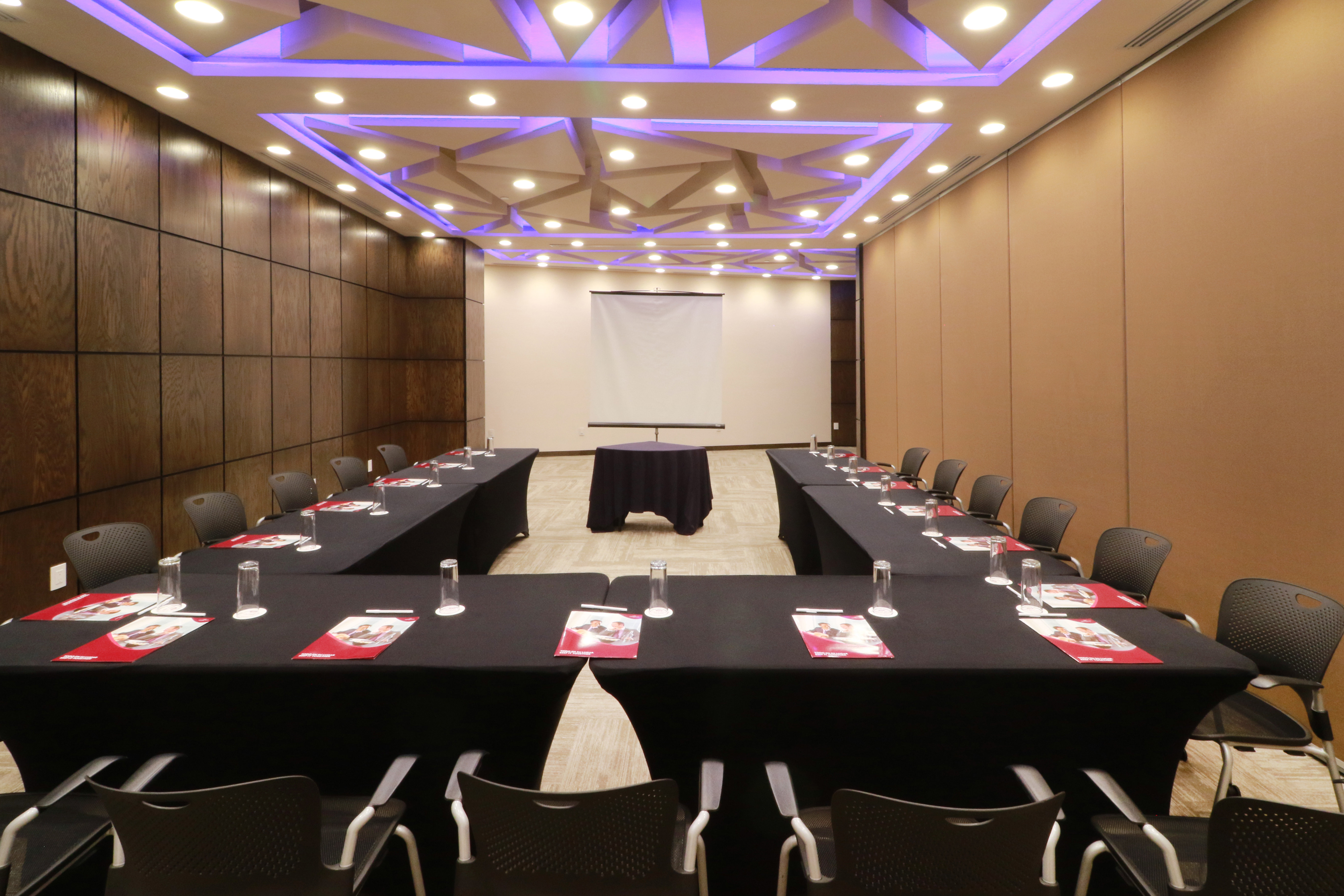 Crowne Plaza Leon 40/50