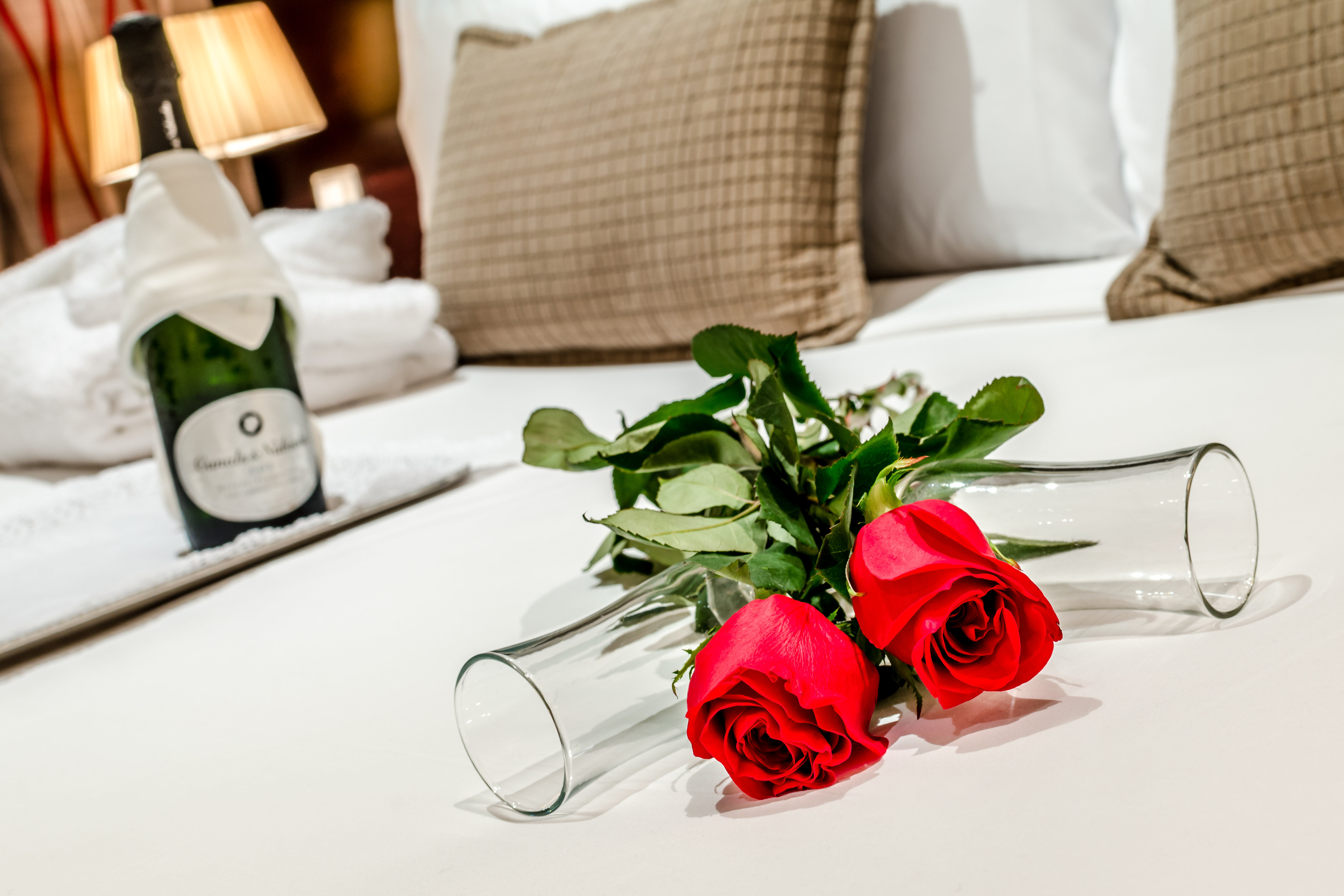 Exe Suites 33 34/55