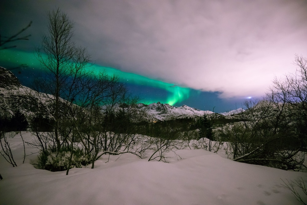 Marina Hotell Lofoten 23/32