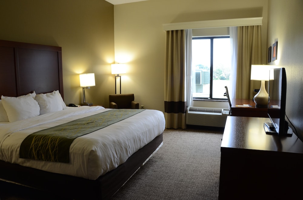 Suite, King Bed, Sofa