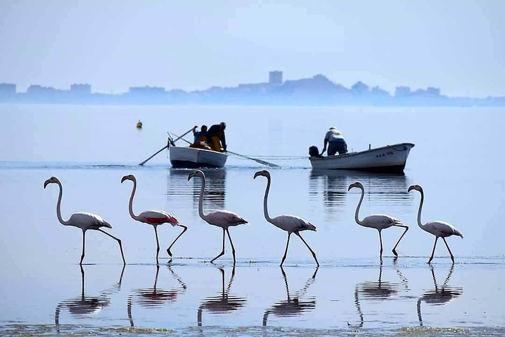 Hotel Alaska Mar Menor 27/50