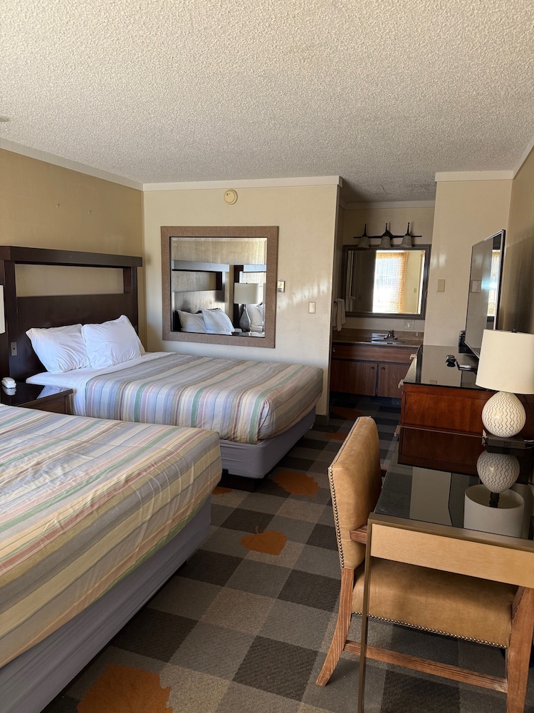 غرفة ديلوكس بسريرين كوين، Snowshoe Motel 5/8