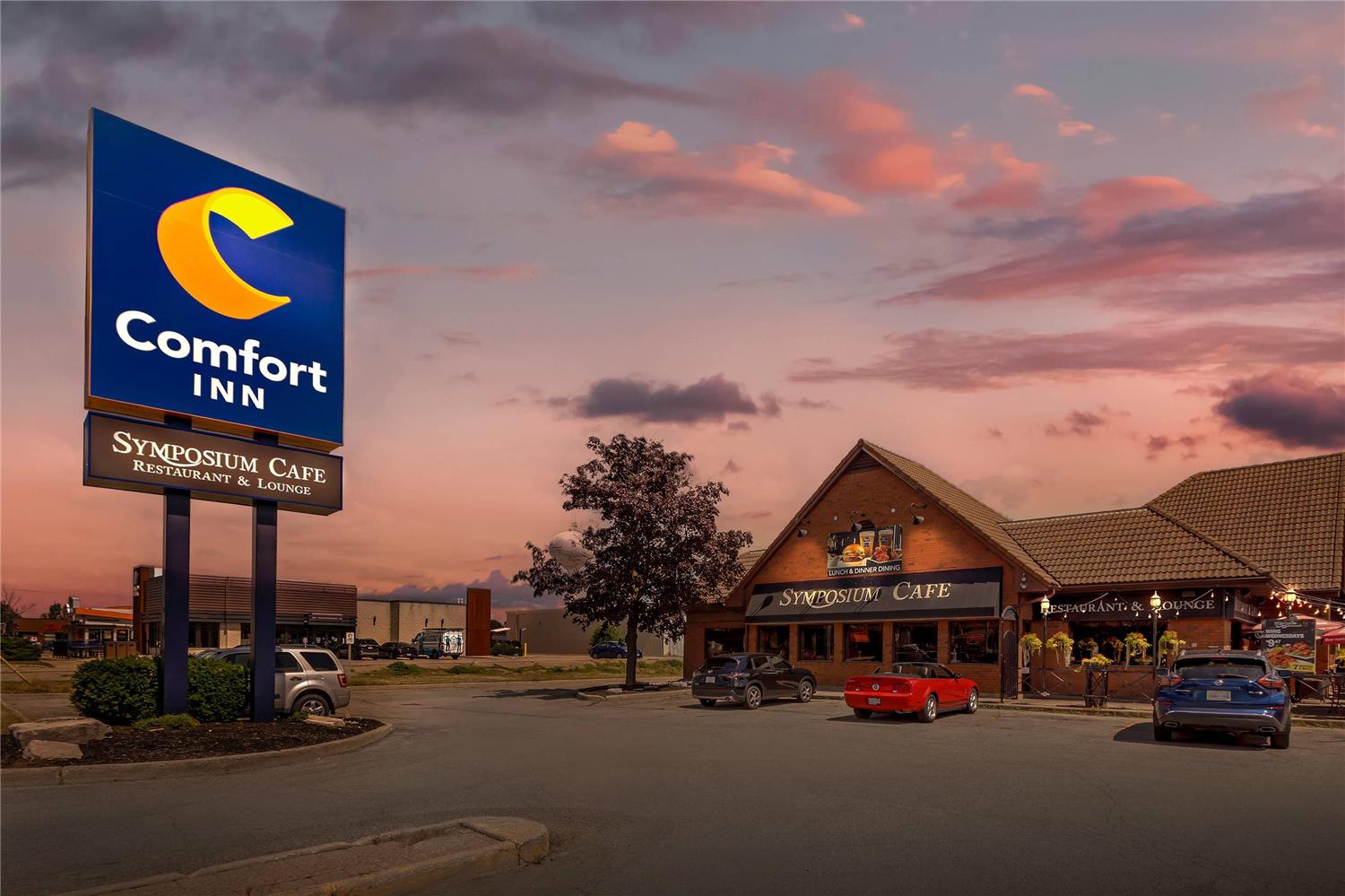 Comfort Inn Brantford 2/29