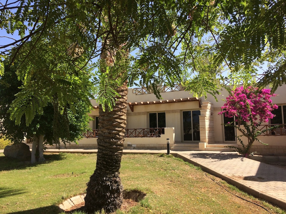 surroundings