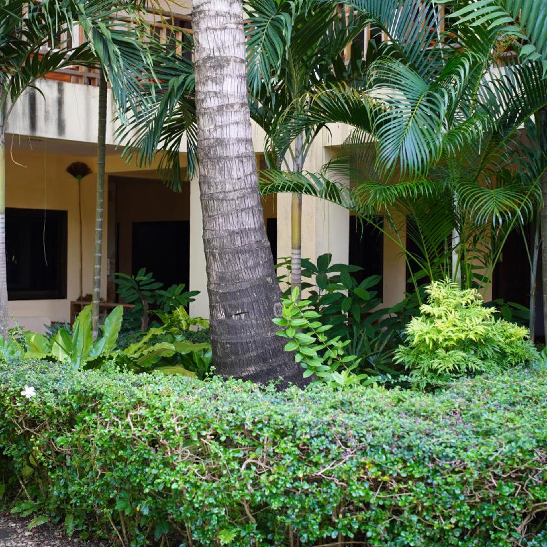 Baan Pitcha 48/51