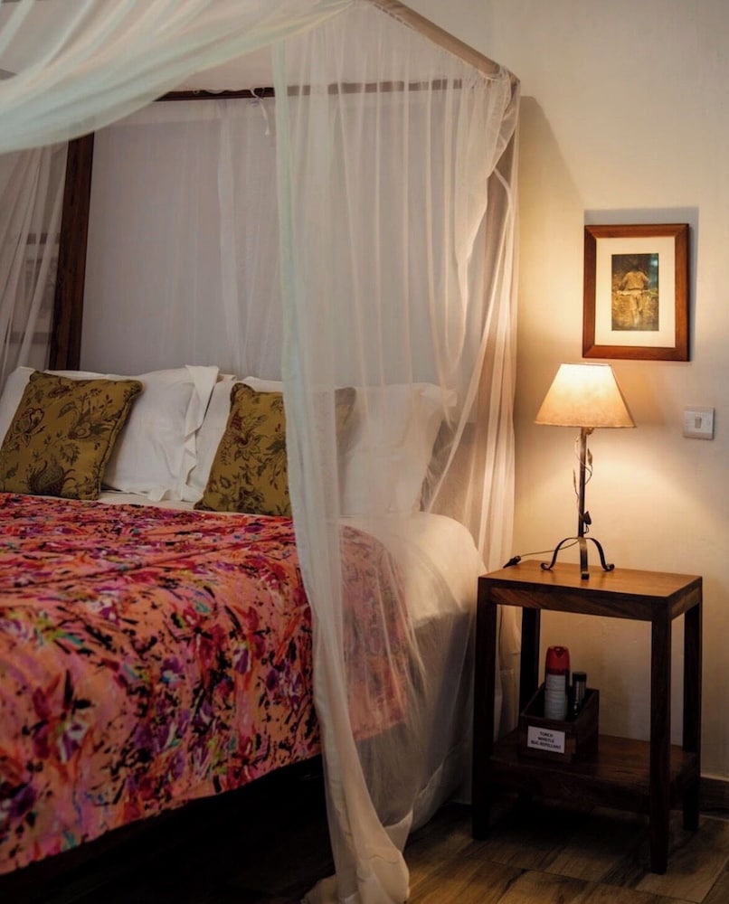 Mount Meru Game Lodge 7/50
