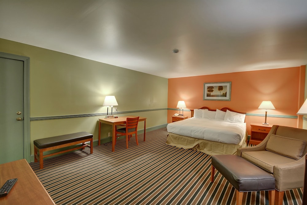 Colonial Motel And Spa 21/60
