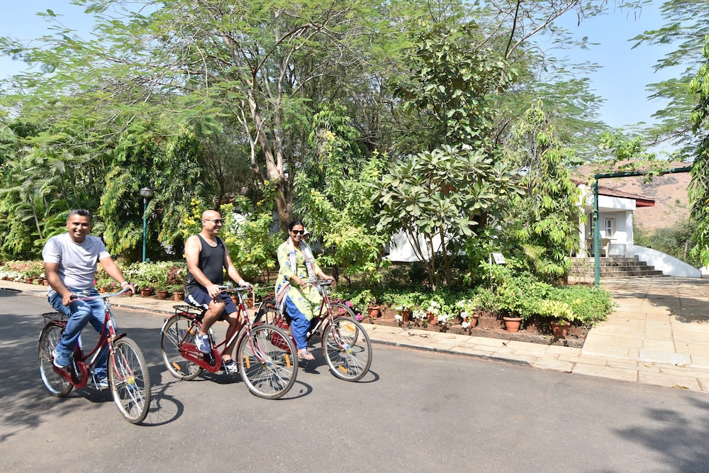 Modis Resort 32/46