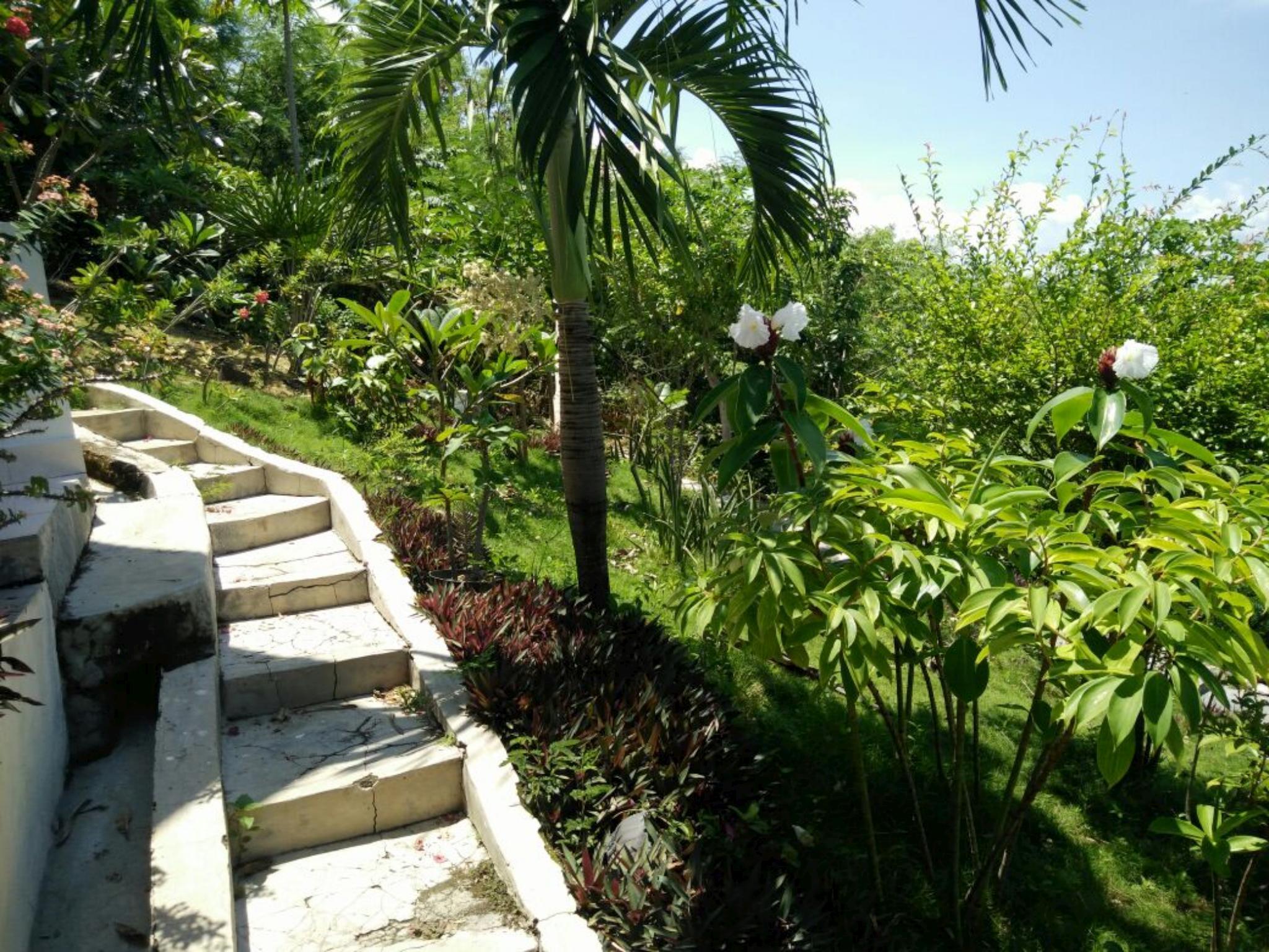 CF Komodo Hotel 24/36