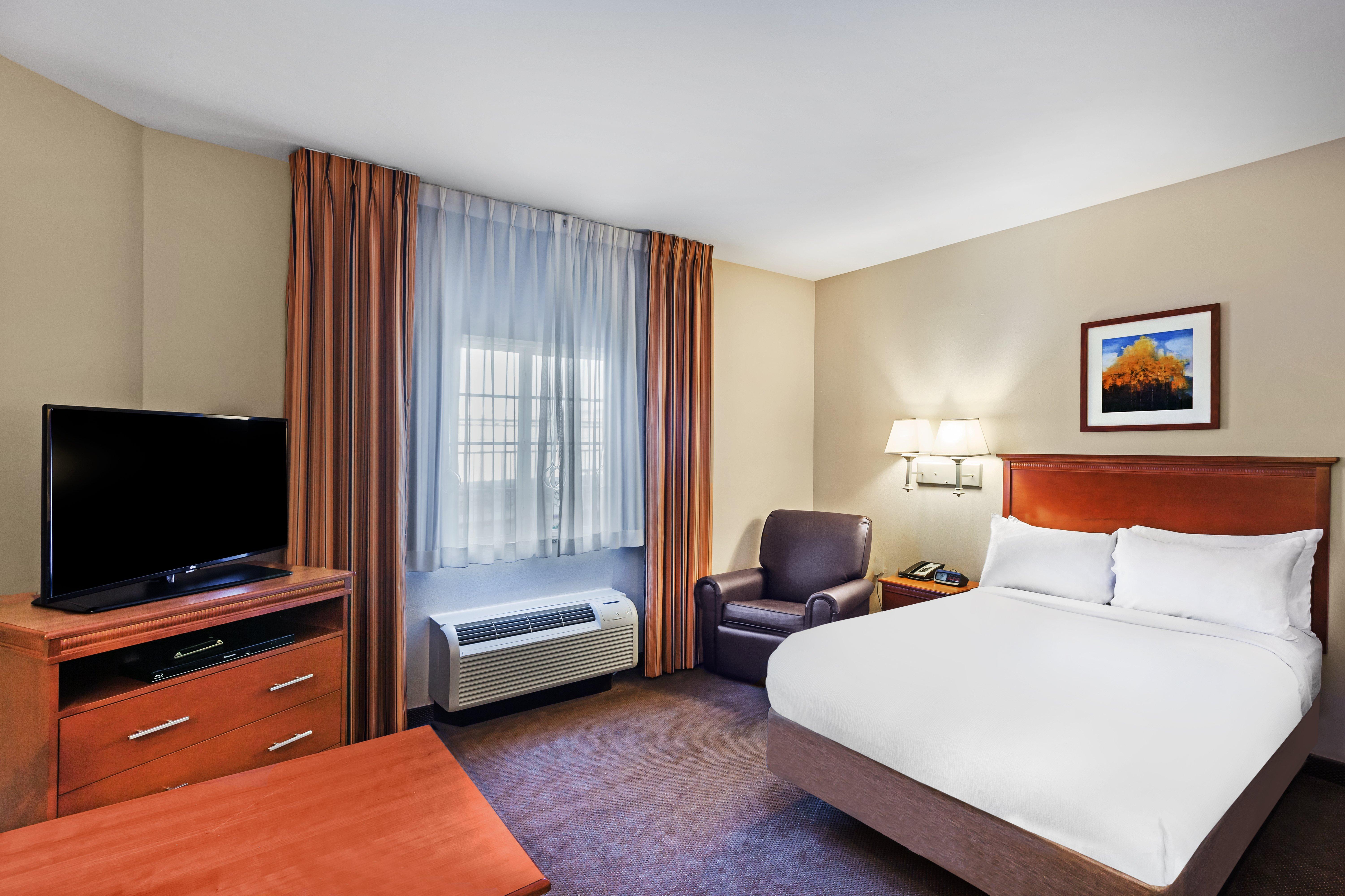 استوديو بسرير كوين