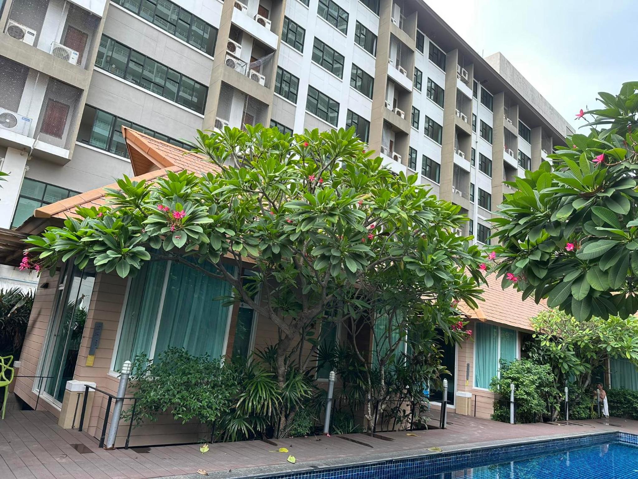 Bbhouse Pattaya 3/55