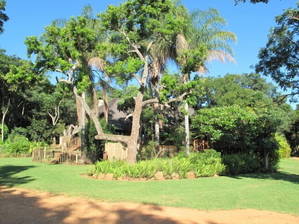Caracal Lodge 29/36
