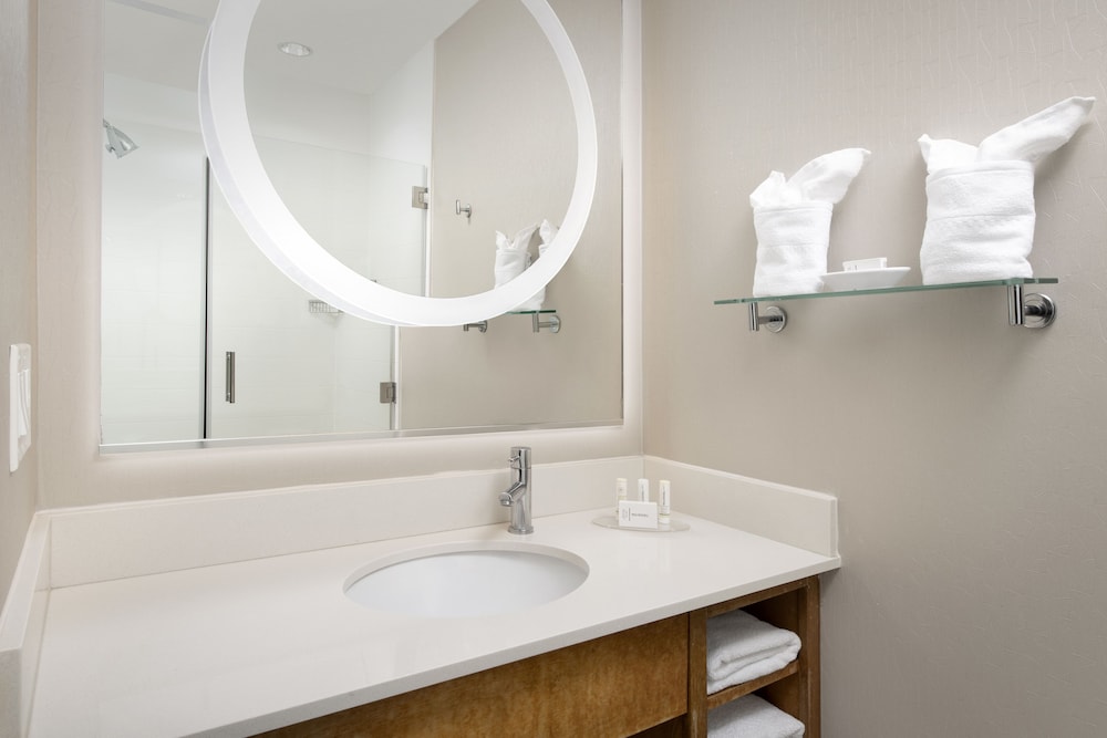 Springhill Suites By Marriott Potomac Mills Woodbridge 9/39