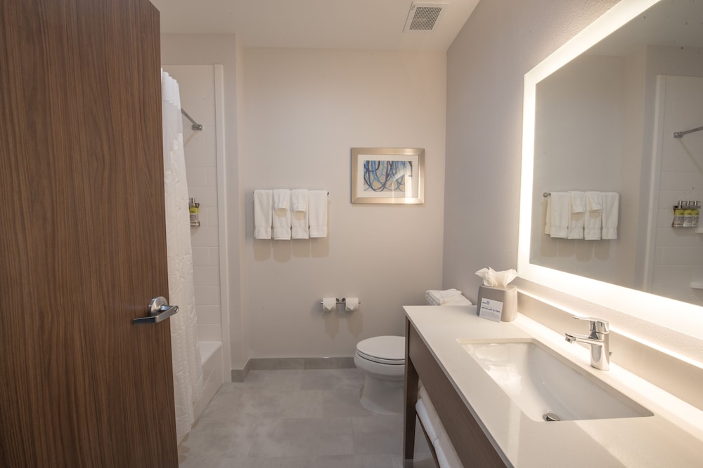 Holiday Inn Express and Suites Houston Westchase - Westheimer 27/59