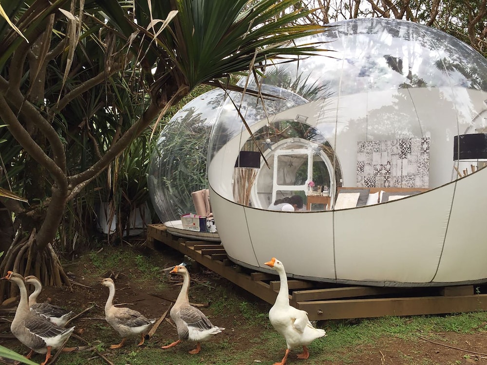 Bubble Lodge Bois Cheri 27/34