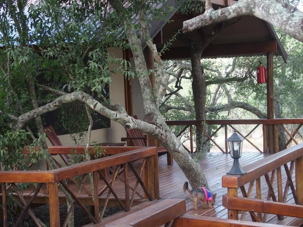 Lion Tree Top Lodge 18/36