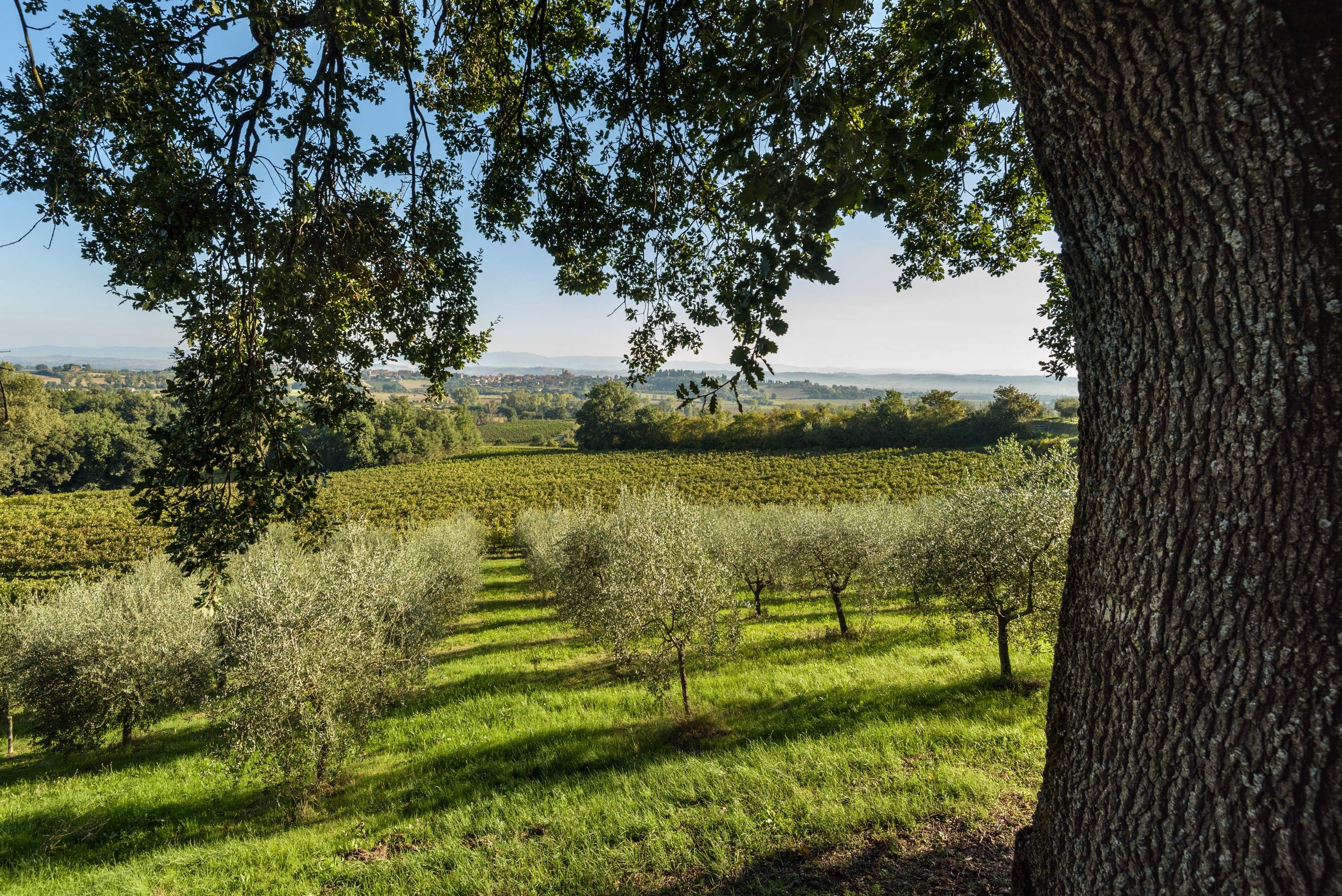Casa Delle Querce 39/50