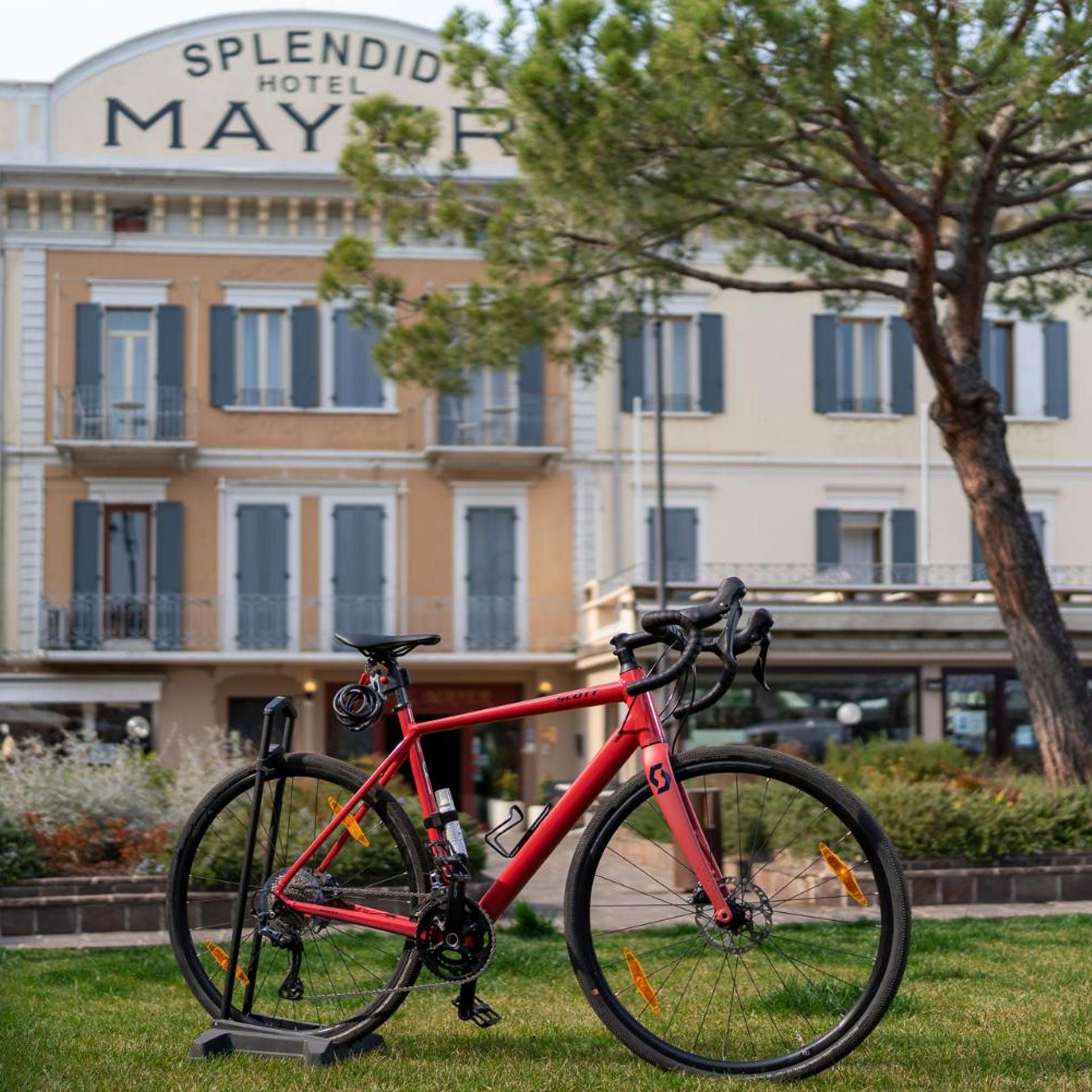Mayer & Splendid 38/50