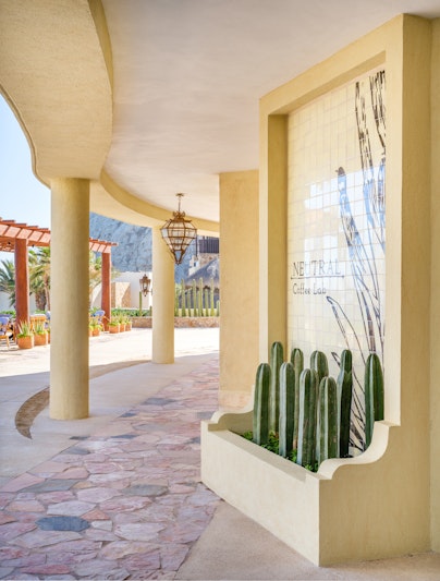 Waldorf Astoria Los Cabos Pedregal 40/80