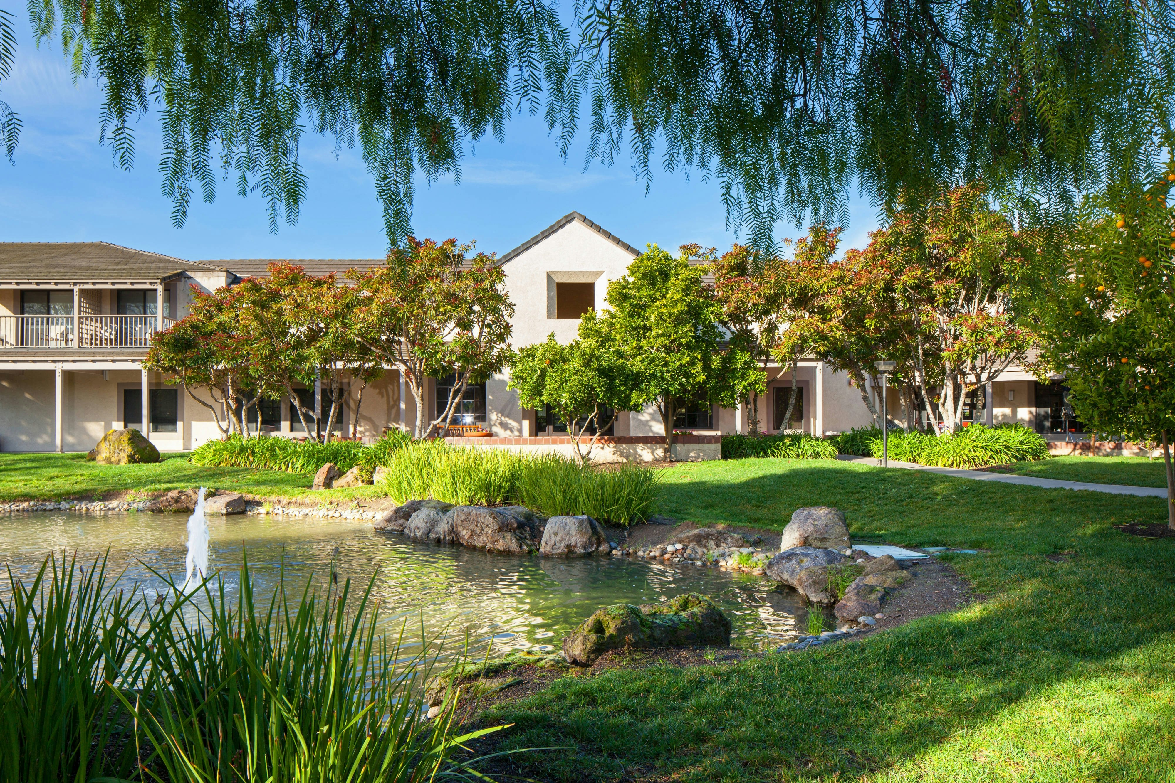 Four Points by Sheraton Pleasanton 6/9