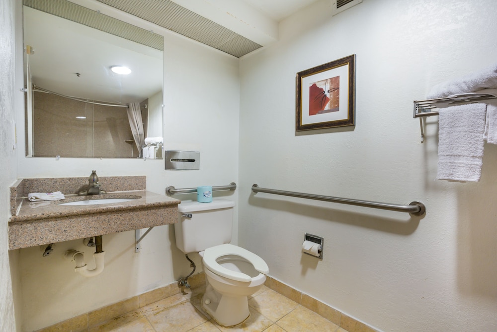 Budgetel Inns & Suites - Atlanta Galleria Stadium 19/25