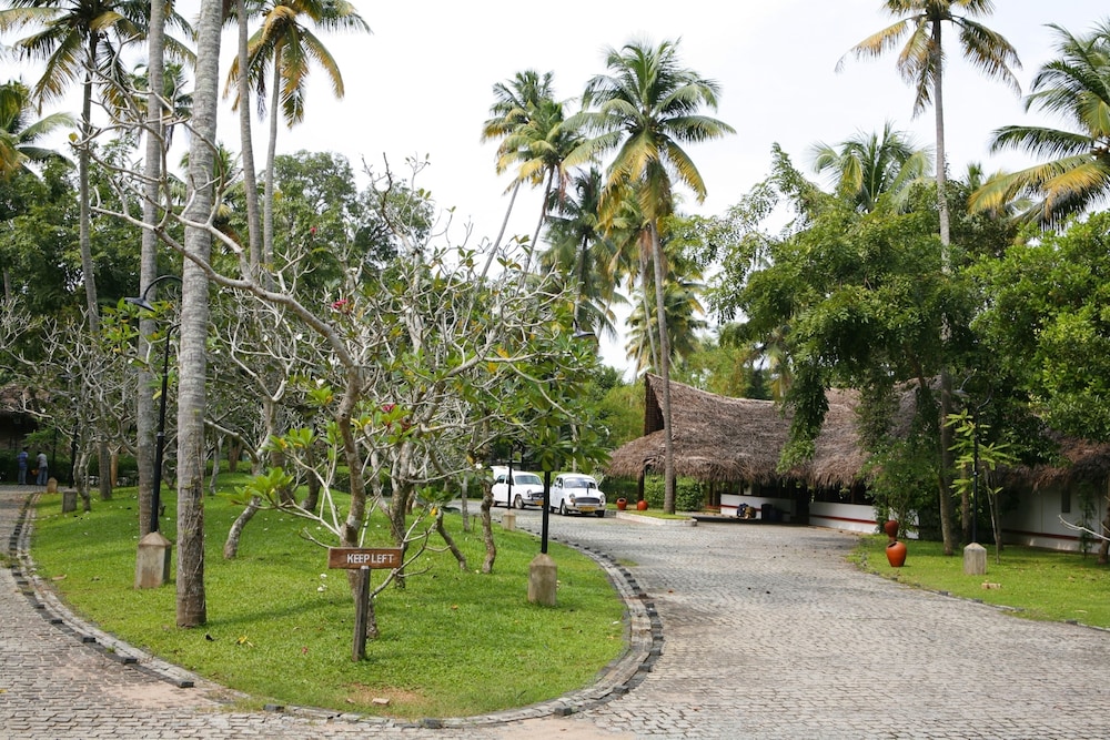 Marari Beach a CGH Earth Experience 32/50