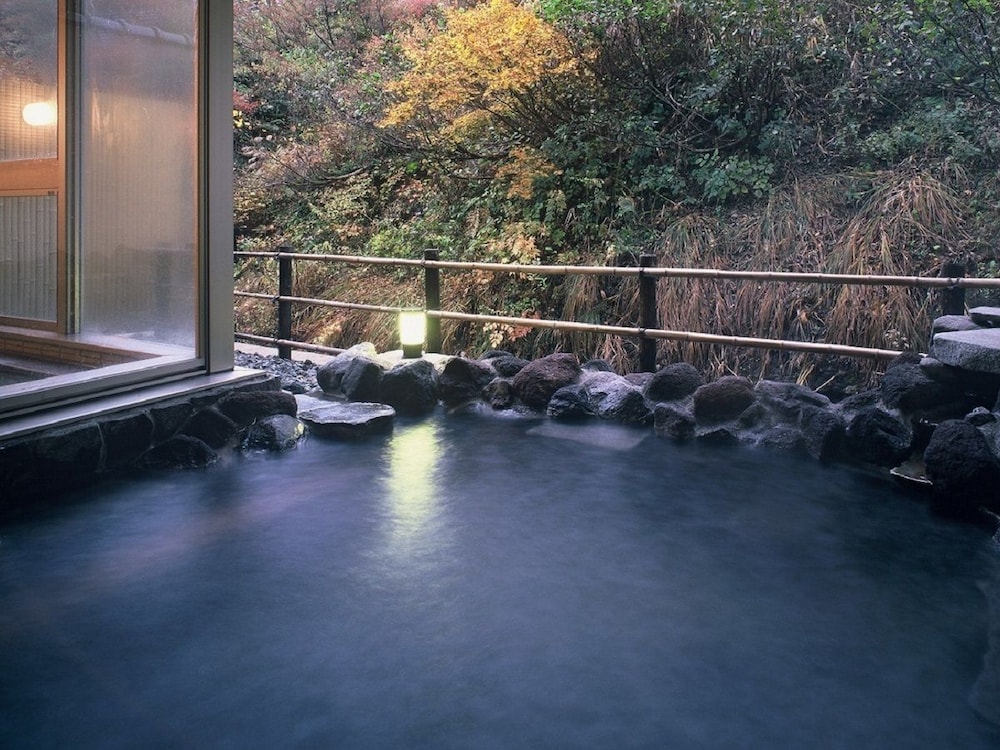 Matsunoyama Onsen Sake Hotel Tamakiya 25/50