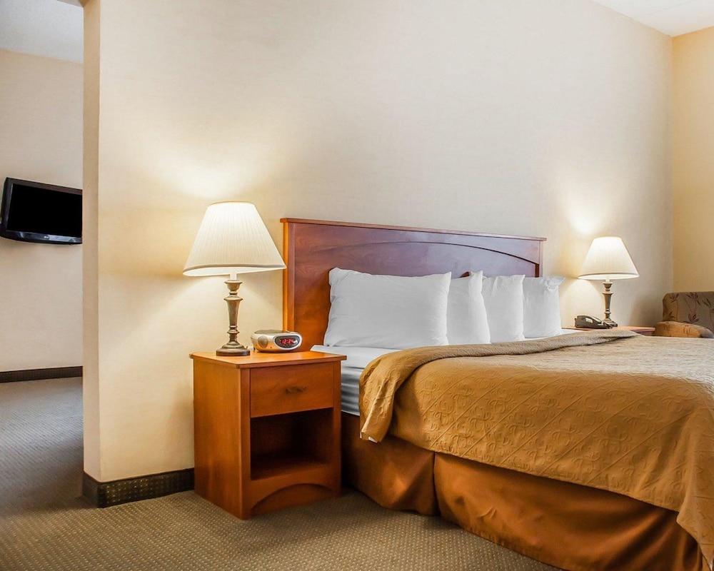 Quality Hotel & Suites At The Falls 26/51