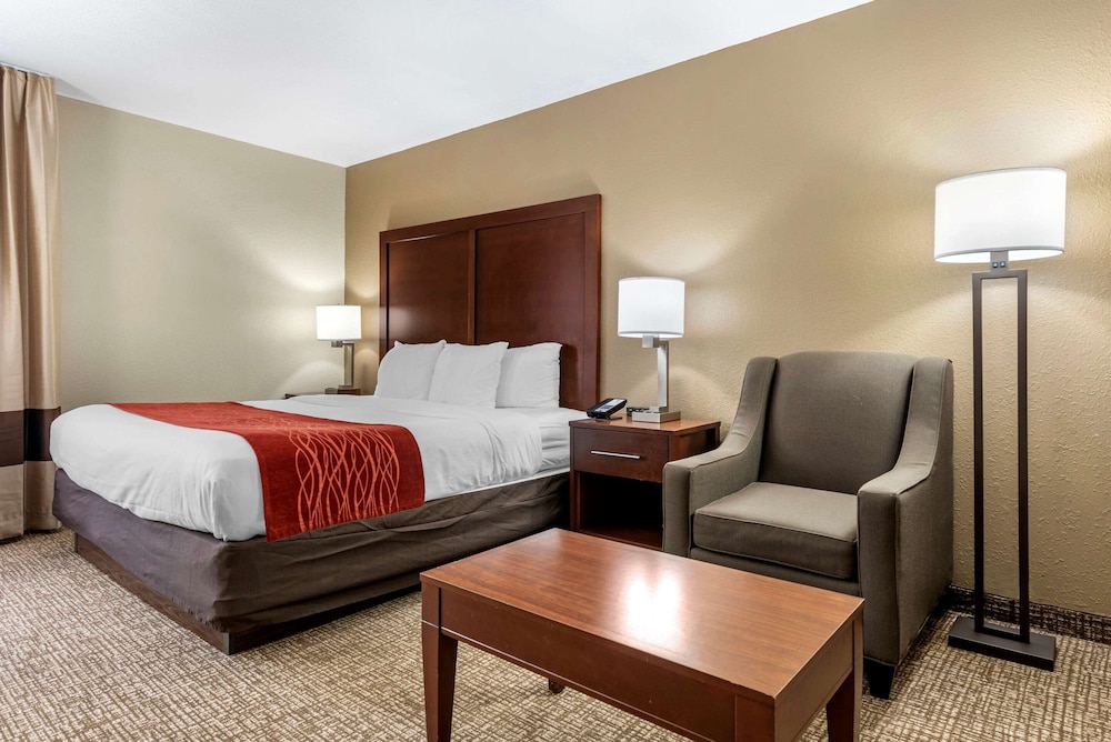 东门凯富套房酒店(Comfort Inn & Suites Cincinnati Eastgate) 图片3