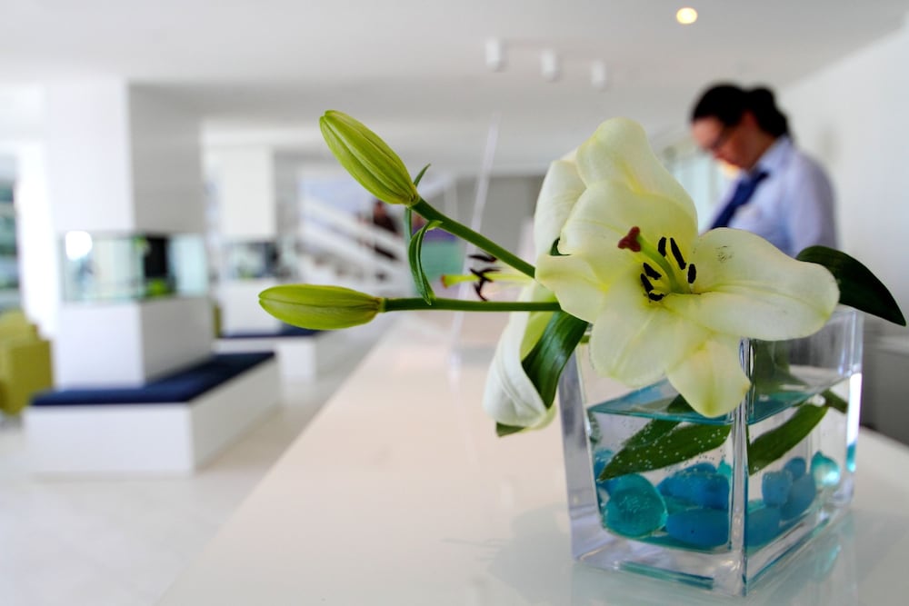 Lobby at Hotel Cavtat, KONAVLE