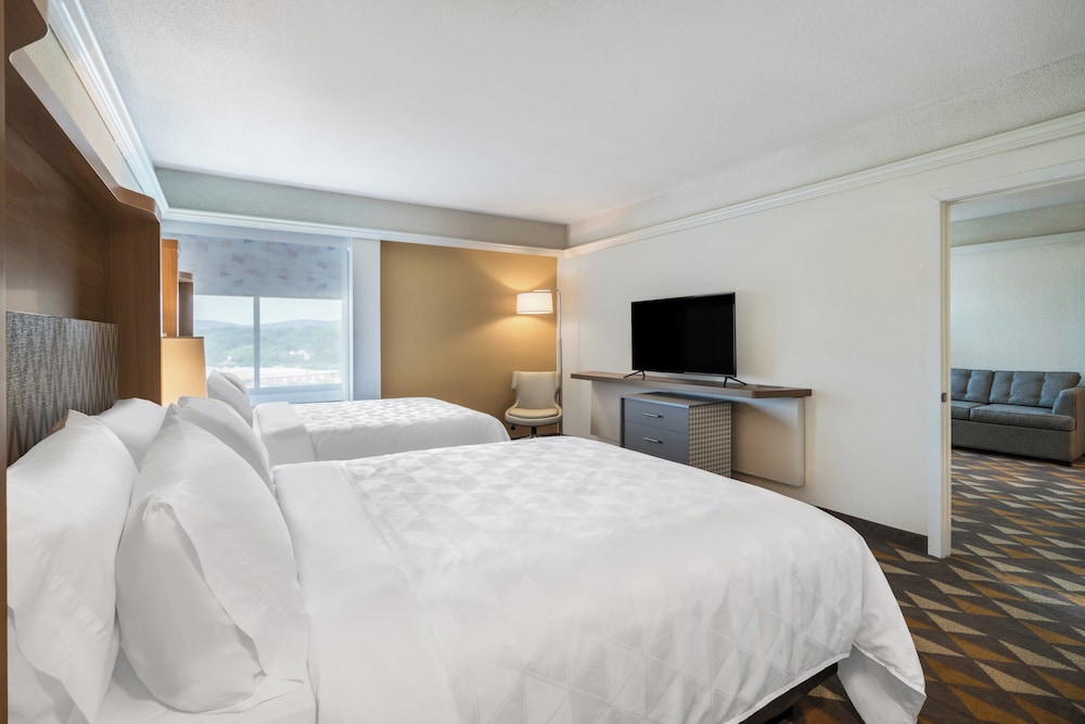 Holiday Inn Suites Pittsfield Berkshires 18/80