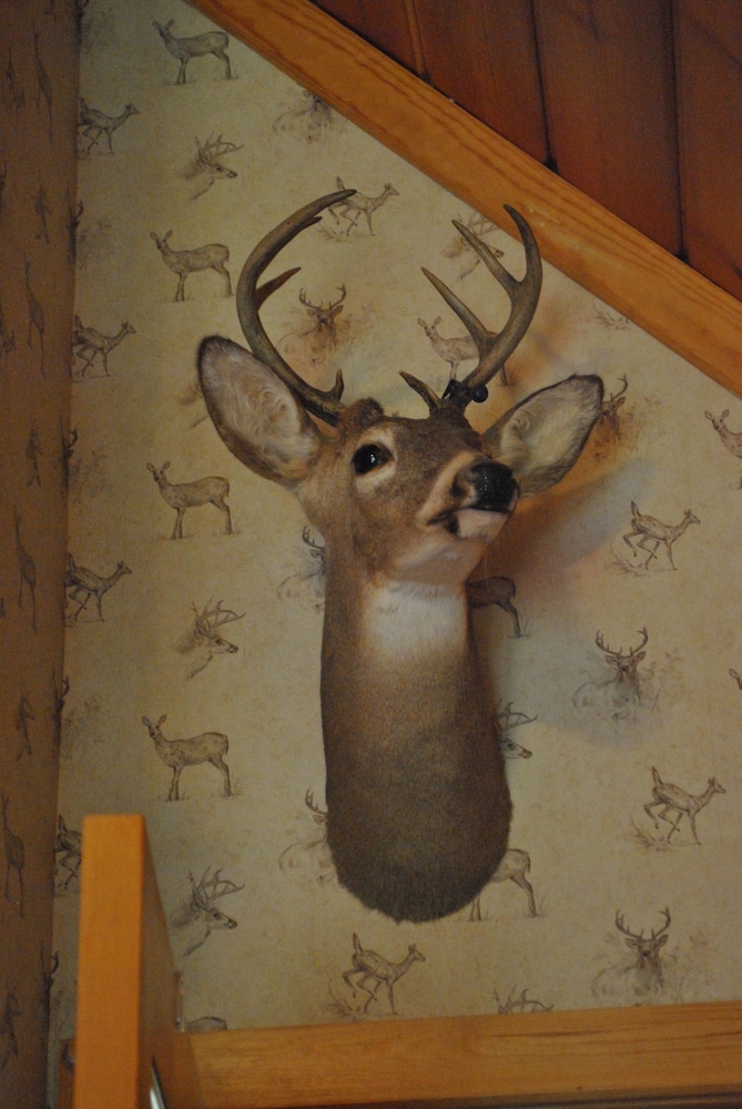 Horton Creek Inn Bed and Breakfast 33/66
