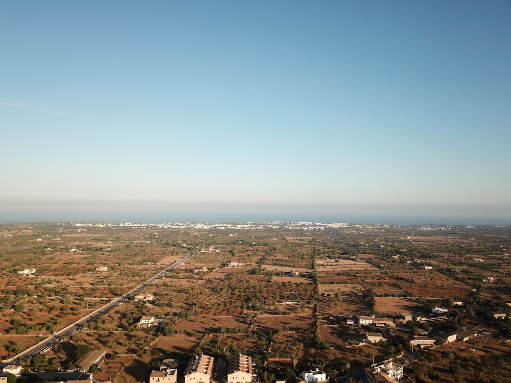Petit Sant Miquel 38/50