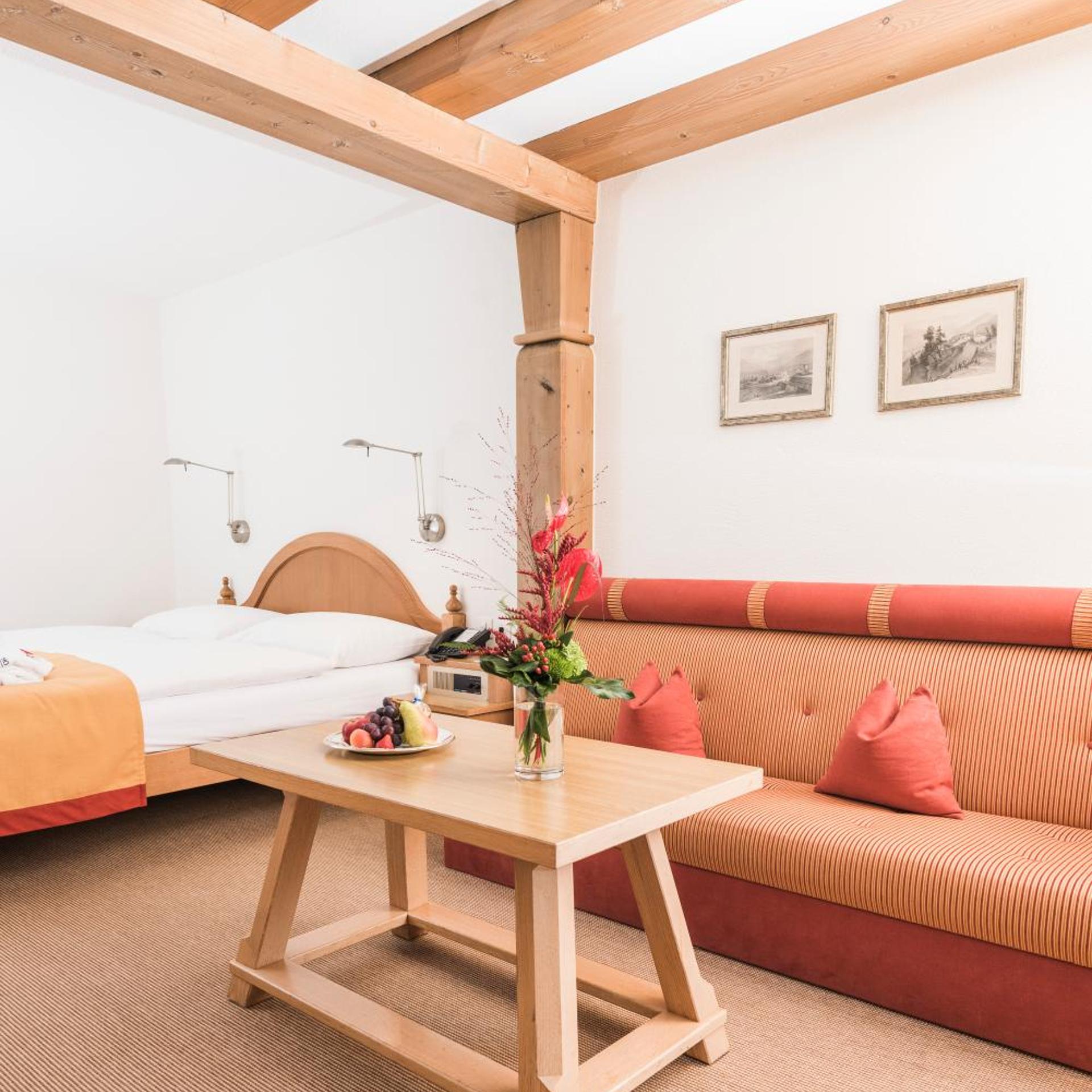 Soldanella by Hotel Adula 27/48