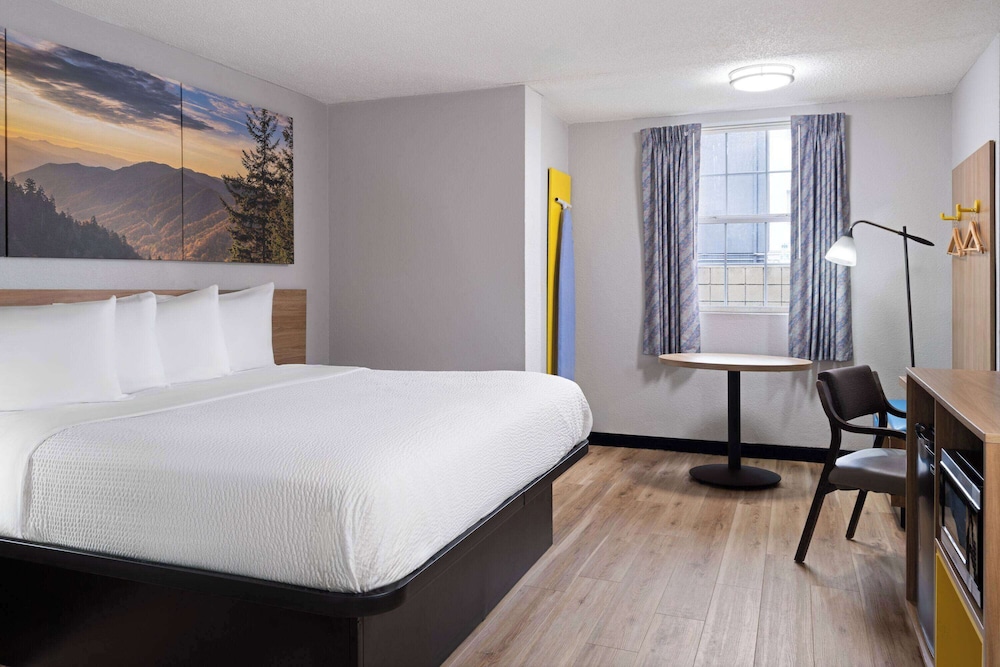 Efficiency, Studio, Suite, King Bed