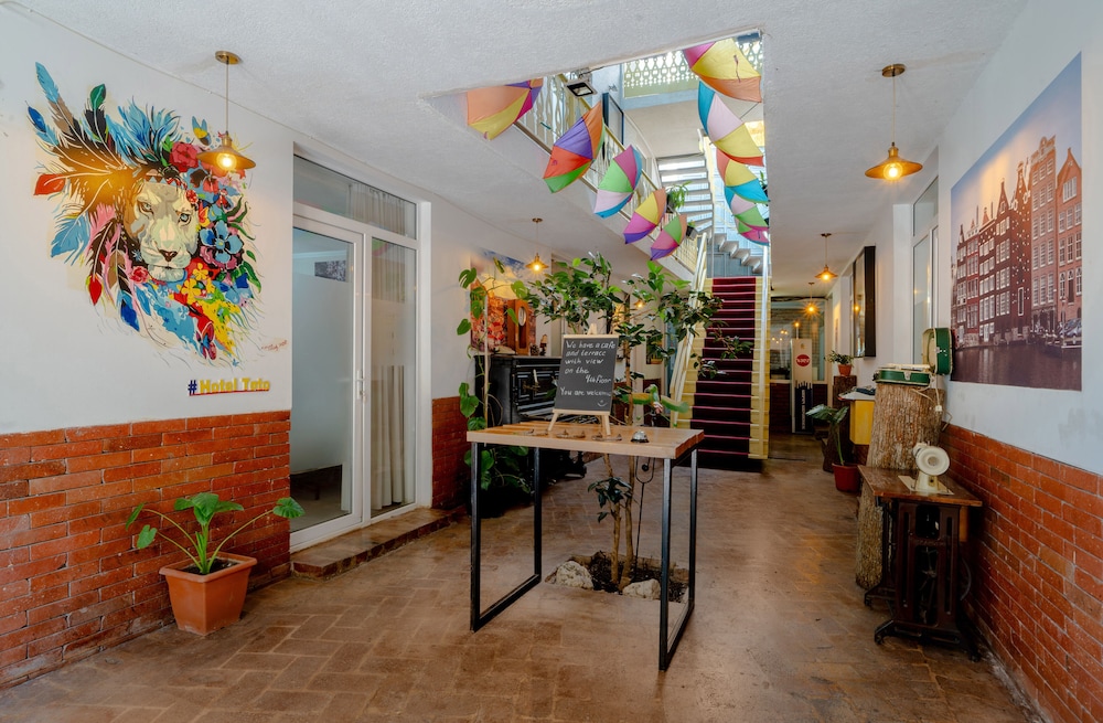 Hotel Tato 28/50