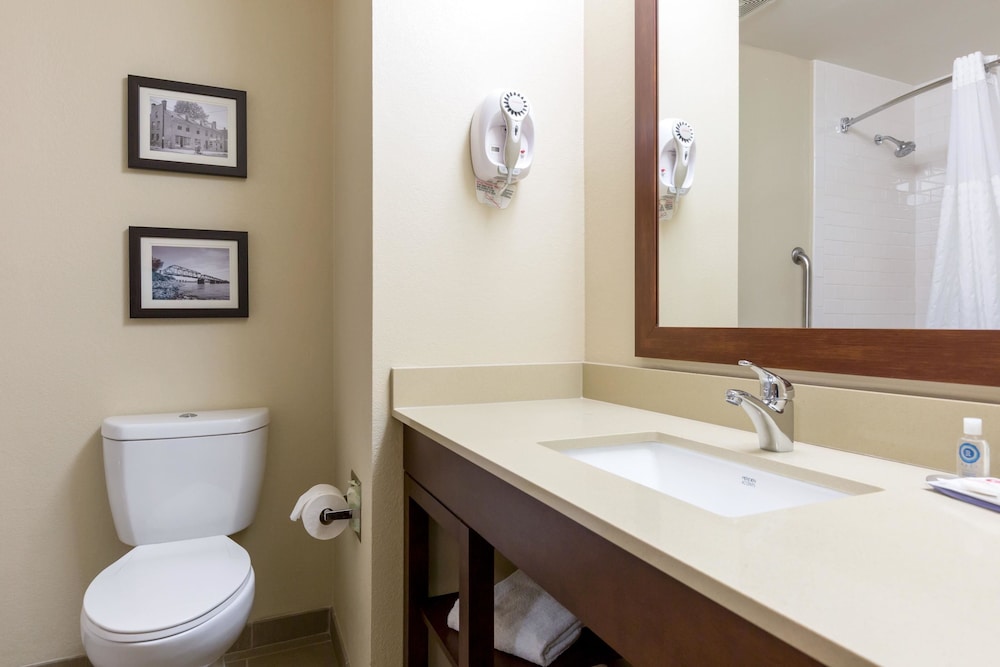 Comfort Inn Collinsville near St. Louis 13/46