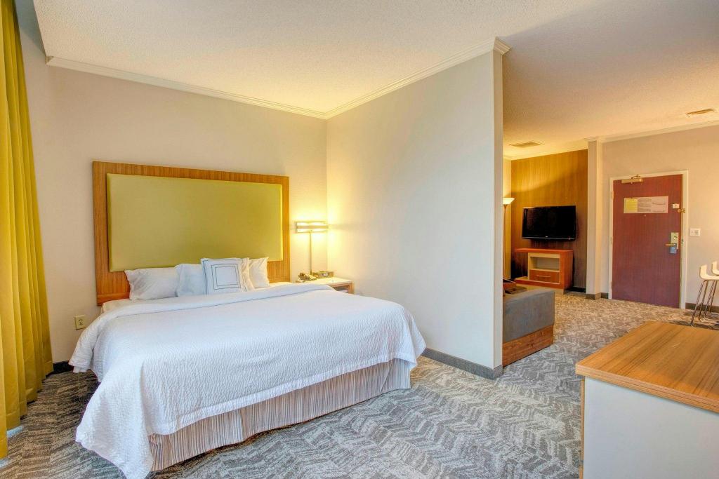 Executive, Suite, King Bed, Trundle Bed